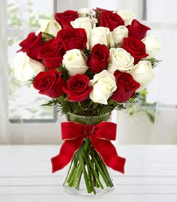 20 Long Stem Red and White Rose Arrangement in Glass Vase